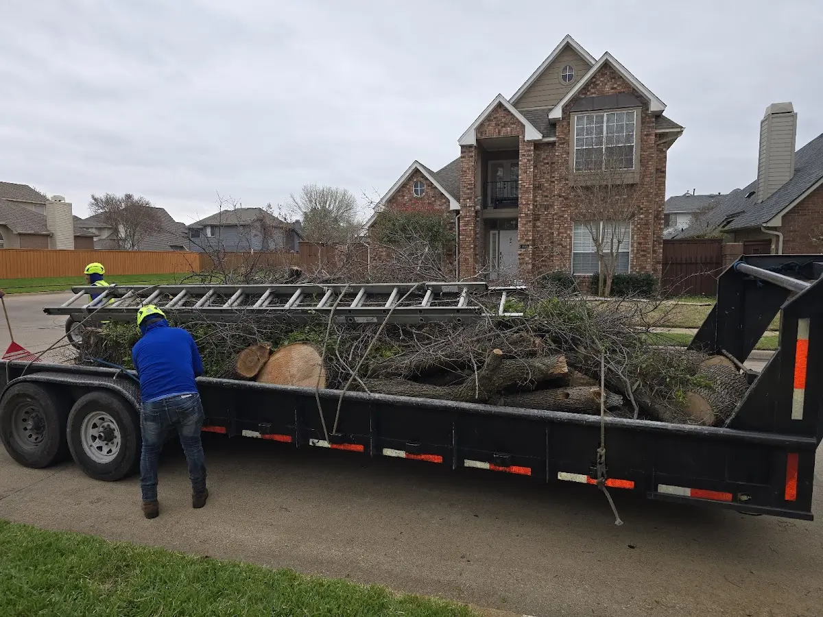 Expert Crown Reduction with proper safety equipment in Addison